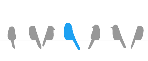Animation of Twitter birds flying away