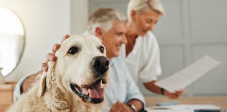 A dog with its human parents that are looking at pet insurance paperwork