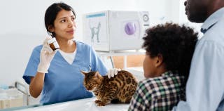 A female veterinarian treats a cat and discusses its medication with the owner and his son.