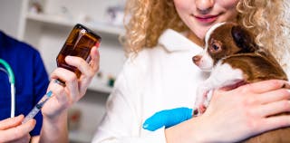 A woman holding a puppy while the vet prepares its vaccination