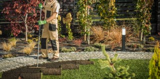 Gardener in overalls lays turf along a garden path with a rake