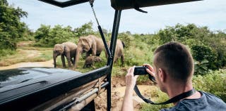 A person taking a picture of elephants while on an African safari trip.