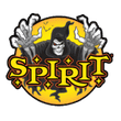 Spirit Halloween coupon