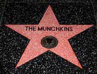 The Munchkins