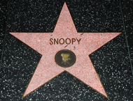 snoopy_motion_pictures.jpg