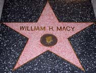 William H. Macy