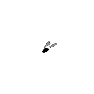 A fly buzzes in place