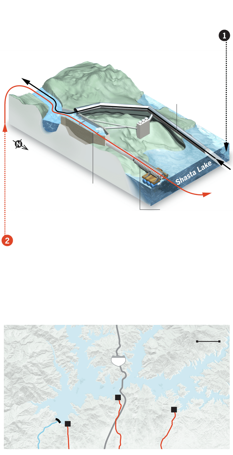 A diagram of the salmon swimway