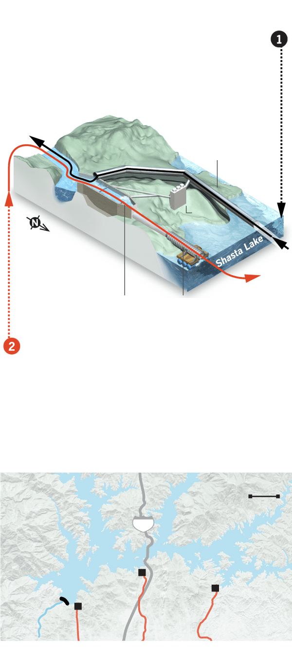 A diagram of the salmon swimway