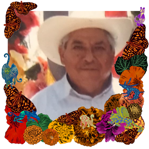 Photo of Adolfo Toledo in a frame with marigolds, flowers, alebrijes and monarch butterflies.