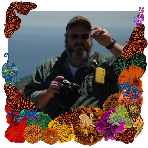 Photo of Andrew Wilds in a frame with marigolds, flowers, alebrijes and monarch butterflies.