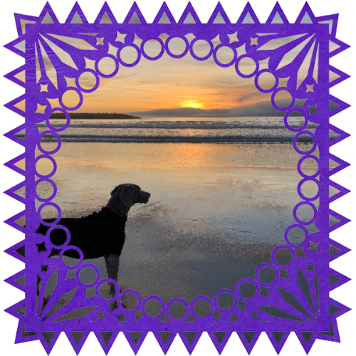 Photo of Apollo in a frame with papel picado.