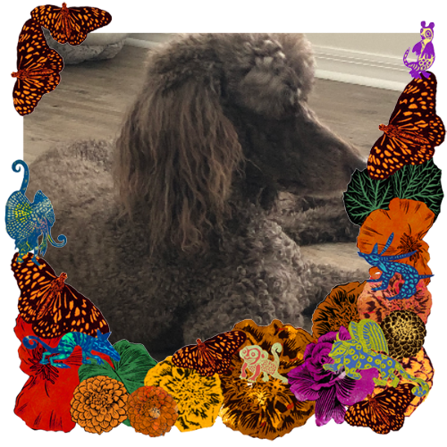 Photo of Bella in a frame with marigolds, flowers, alebrijes and monarch butterflies.