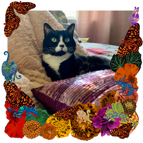 Photo of Belle in a frame with marigolds, flowers, alebrijes and monarch butterflies.