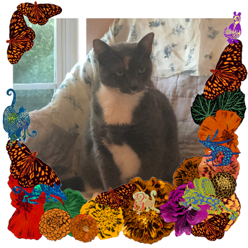 Photo of Bo in a frame with marigolds, flowers, alebrijes and monarch butterflies.