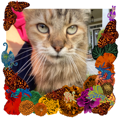 Photo of Callie in a frame with marigolds, flowers, alebrijes and monarch butterflies.