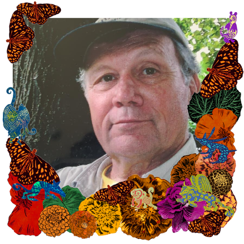 Photo of David Negus in a frame with marigolds, flowers, alebrijes and monarch butterflies.