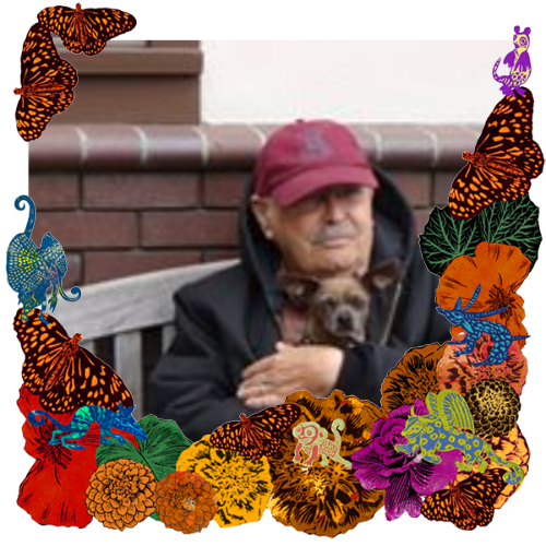 Photo of David Zeitlin in a frame with marigolds, flowers, alebrijes and monarch butterflies.