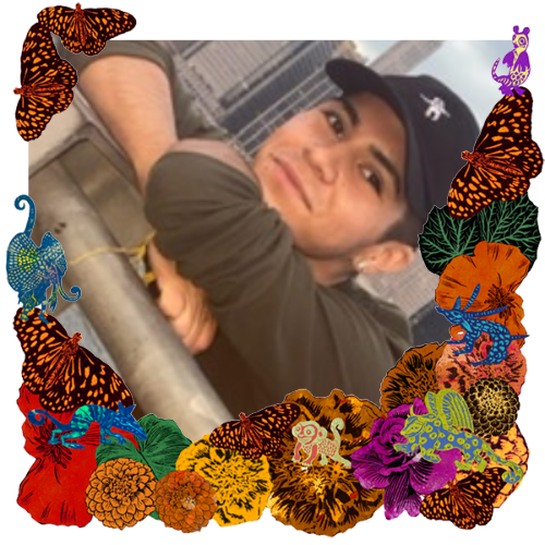 Photo of Derek Emmanuel Trucios in a frame with marigolds, flowers, alebrijes and monarch butterflies.