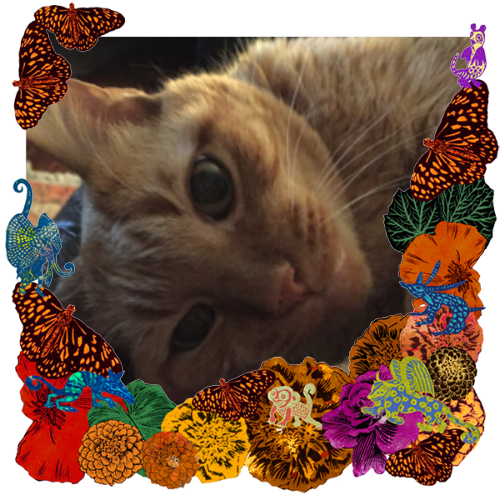 Photo of Detroit in a frame with marigolds, flowers, alebrijes and monarch butterflies.