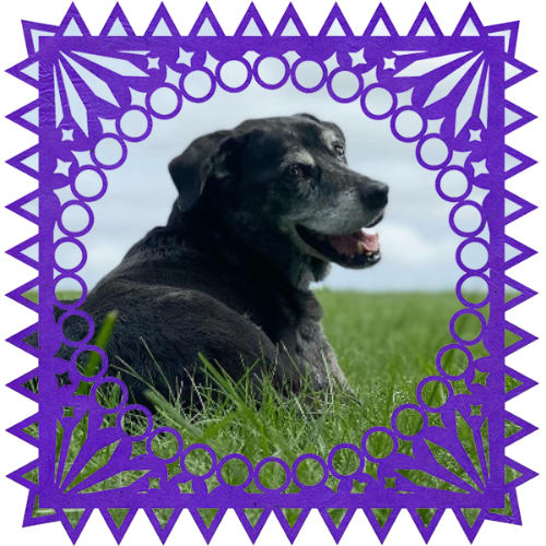 Photo of Diego in a frame with papel picado.