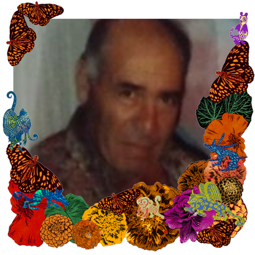 Photo of Domingo Fama in a frame with marigolds, flowers, alebrijes and monarch butterflies.
