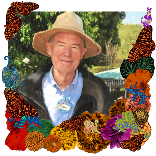 Photo of Don in a frame with marigolds, flowers, alebrijes and monarch butterflies.