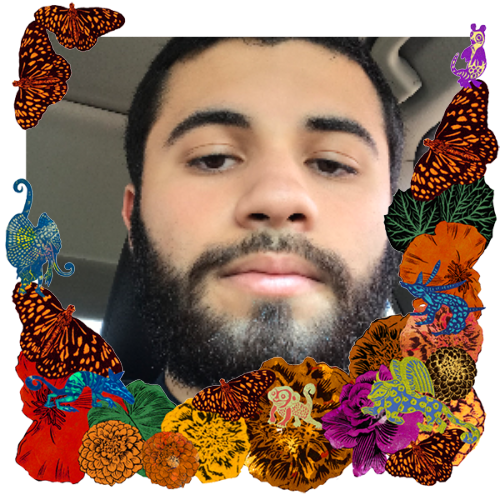 Photo of Ethan Hecht in a frame with marigolds, flowers, alebrijes and monarch butterflies.