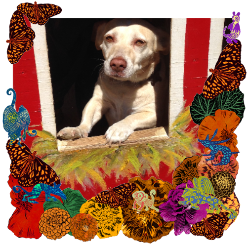 Photo of Ethel in a frame with marigolds, flowers, alebrijes and monarch butterflies.