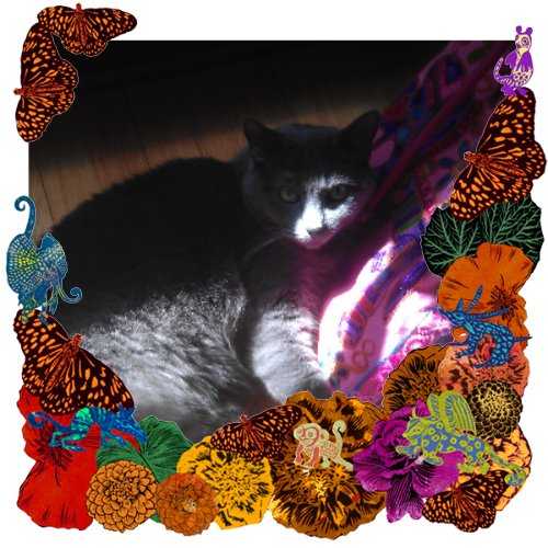 Photo of Feya in a frame with marigolds, flowers, alebrijes and monarch butterflies.