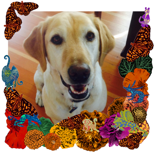 Photo of Holly in a frame with marigolds, flowers, alebrijes and monarch butterflies.