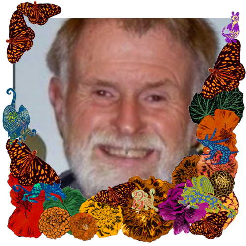 Photo of Howard Tree in a frame with marigolds, flowers, alebrijes and monarch butterflies.