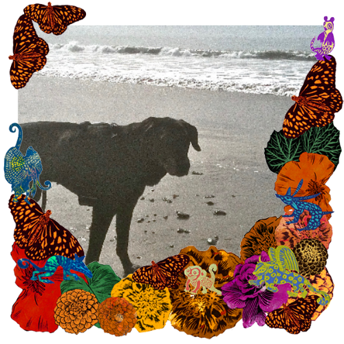 Photo of Jack in a frame with marigolds, flowers, alebrijes and monarch butterflies.