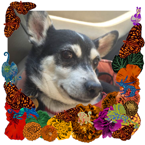 Photo of Jackie D in a frame with papel picado.