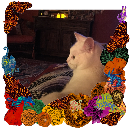 Photo of Jade in a frame with marigolds, flowers, alebrijes and monarch butterflies.