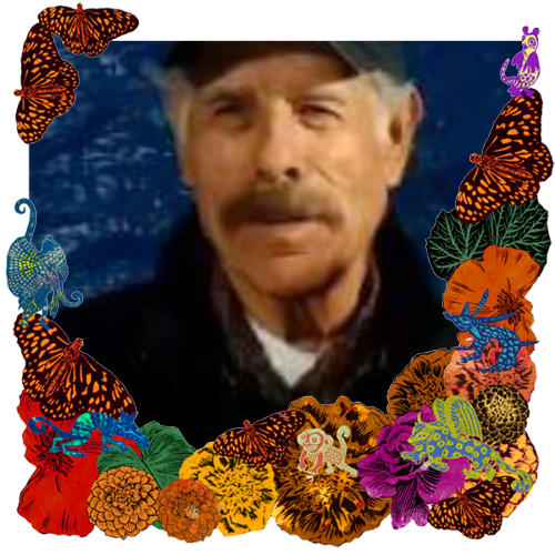 Photo of Jesus Guardado in a frame with marigolds, flowers, alebrijes and monarch butterflies.