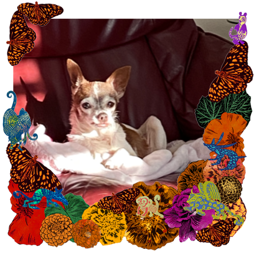 Photo of Lily Rose in a frame with marigolds, flowers, alebrijes and monarch butterflies.