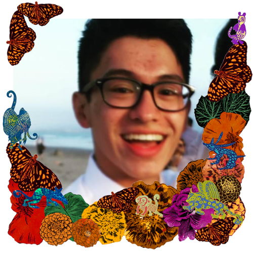 Photo of Louie in a frame with marigolds, flowers, alebrijes and monarch butterflies.