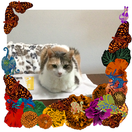 Photo of Mabel in a frame with marigolds, flowers, alebrijes and monarch butterflies.