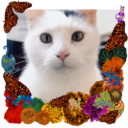 Photo of Mac, the man in a frame with marigolds, flowers, alebrijes and monarch butterflies.