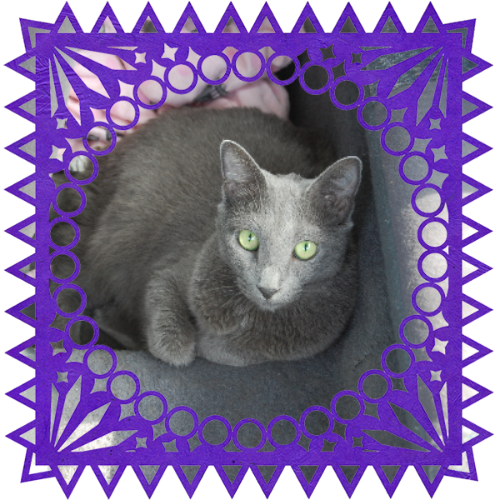 Photo of Maya in a frame with papel picado.