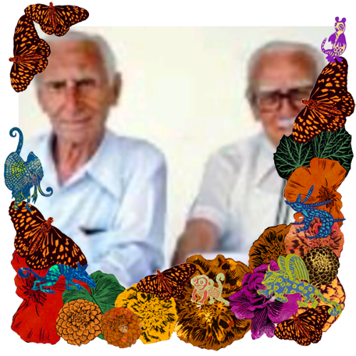 Photo of Mis profesores in a frame with marigolds, flowers, alebrijes and monarch butterflies.