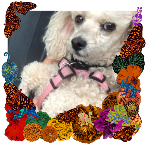 Photo of Mizore in a frame with marigolds, flowers, alebrijes and monarch butterflies.
