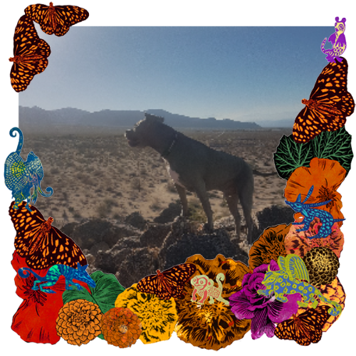 Photo of Mo in a frame with marigolds, flowers, alebrijes and monarch butterflies.