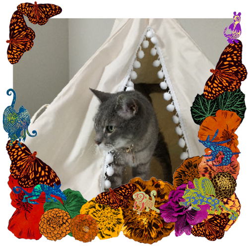Photo of Kansas in a frame with marigolds, flowers, alebrijes and monarch butterflies.