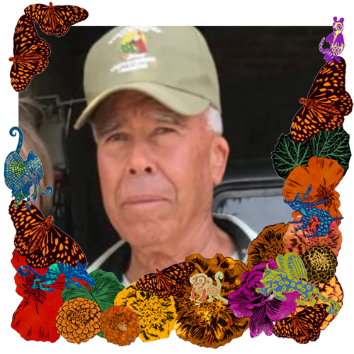 Photo of Papa Lolo in a frame with marigolds, flowers, alebrijes and monarch butterflies.