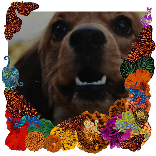 Photo of Parker Belle Mayfield in a frame with marigolds, flowers, alebrijes and monarch butterflies.