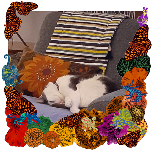 Photo of Pax Kitty in a frame with marigolds, flowers, alebrijes and monarch butterflies.