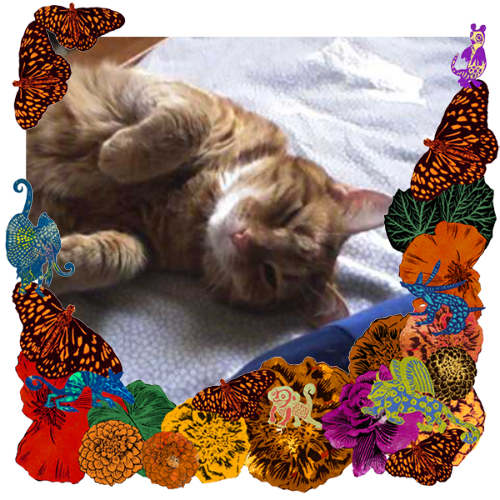 Photo of Pekoe in a frame with marigolds, flowers, alebrijes and monarch butterflies.