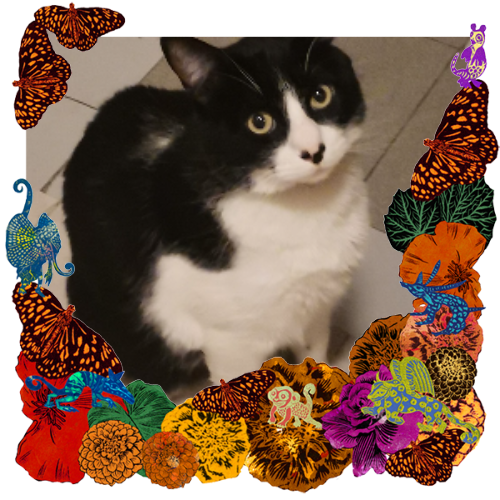 Photo of Plagg "Artur" in a frame with marigolds, flowers, alebrijes and monarch butterflies.